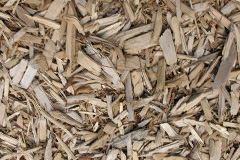 biomass boilers Treneglos